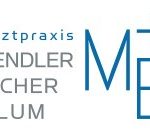 MEF_header_logo